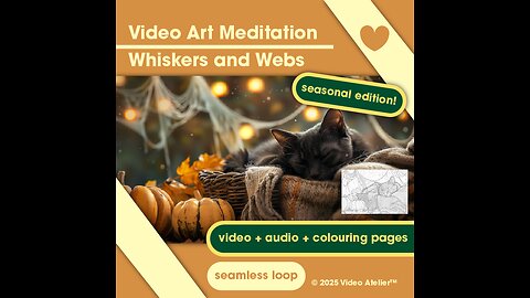 Video Art Meditation Relaxation Stress-Relief Whiskers and Webs Ambient Calm Halloween Spooky Forest