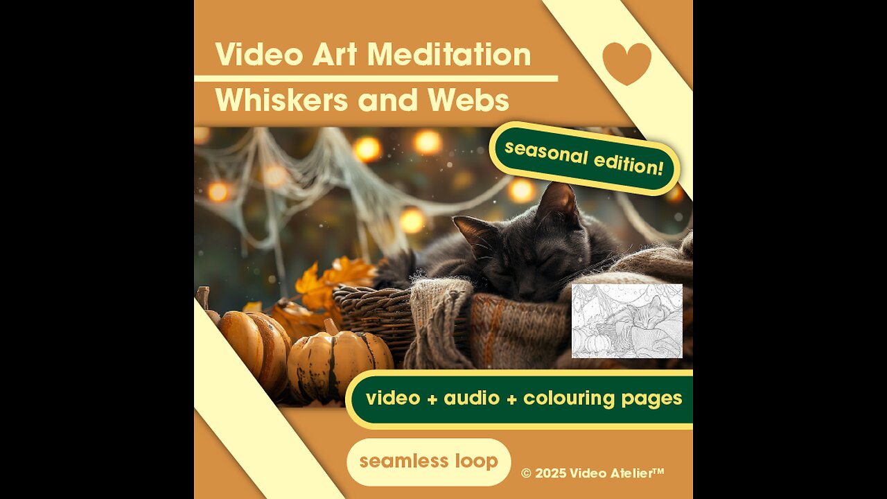 Video Art Meditation Relaxation Stress-Relief Whiskers and Webs Ambient Calm Halloween Spooky Forest