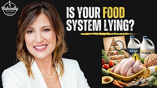 🐔⚠️ Bleached Chicken Exposed | 🍽️ Food Pyramid Stories | 🧠 Nothing Is What It Seems