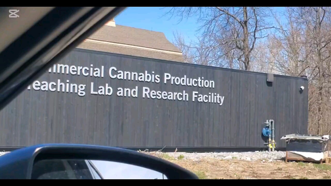 Canadian College Niagara Weed and too many genders!