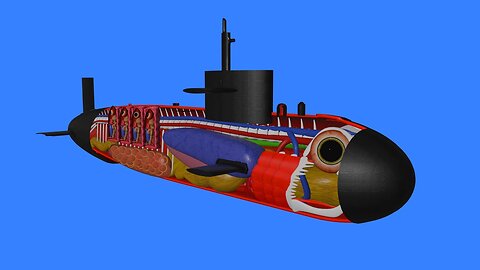 How a Submarine works
