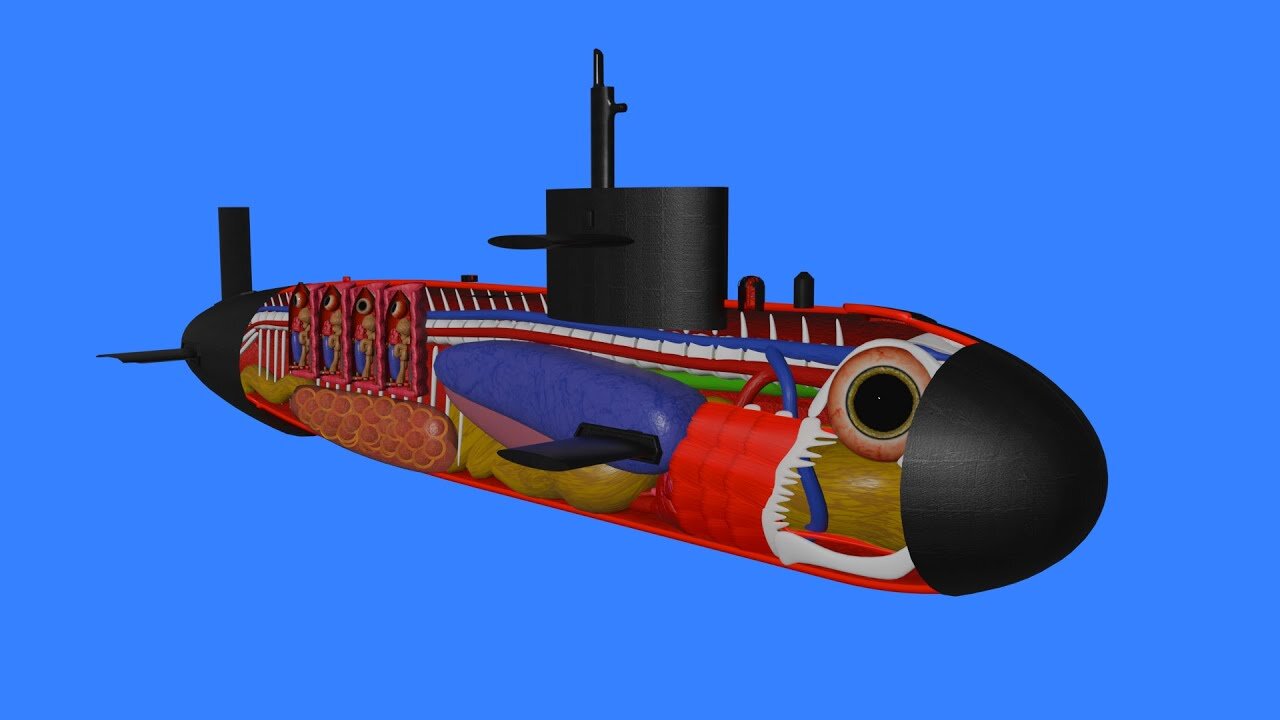 How a Submarine works