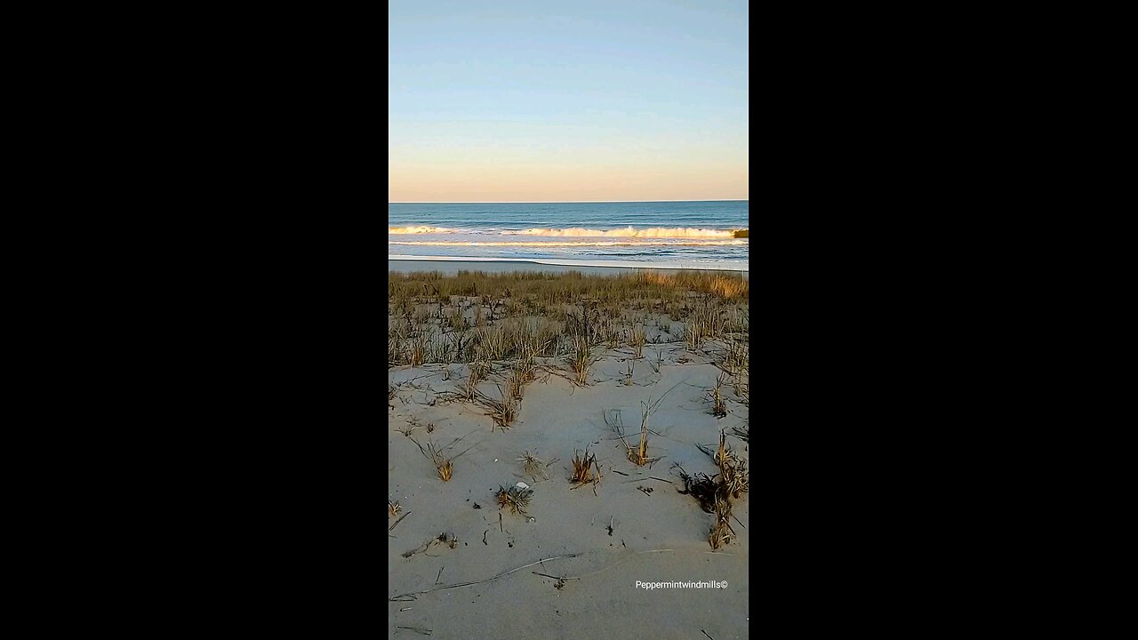 𝓣𝓱𝓮 𝓑𝓮𝓪𝓾𝓽𝔂 𝓸𝓯 𝓪 𝓑𝓮𝓪𝓬𝓱 ⛱️ 𝓓𝓪𝔂~