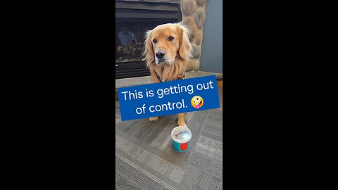 This is getting out of control!