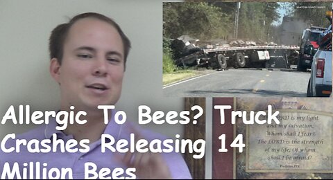 Allergic To Bees? Truck Crashes Releasing 14 Million Bees