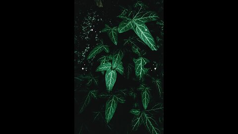 Hadees e nabvi (saw) #islam #viralvideos #islamicreminders #prophetmuhammadsaw #hadeesenabvi