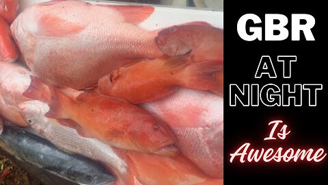 Monster Reds and Shark Showdowns: Epic Fishing Adventure with Local Expert!