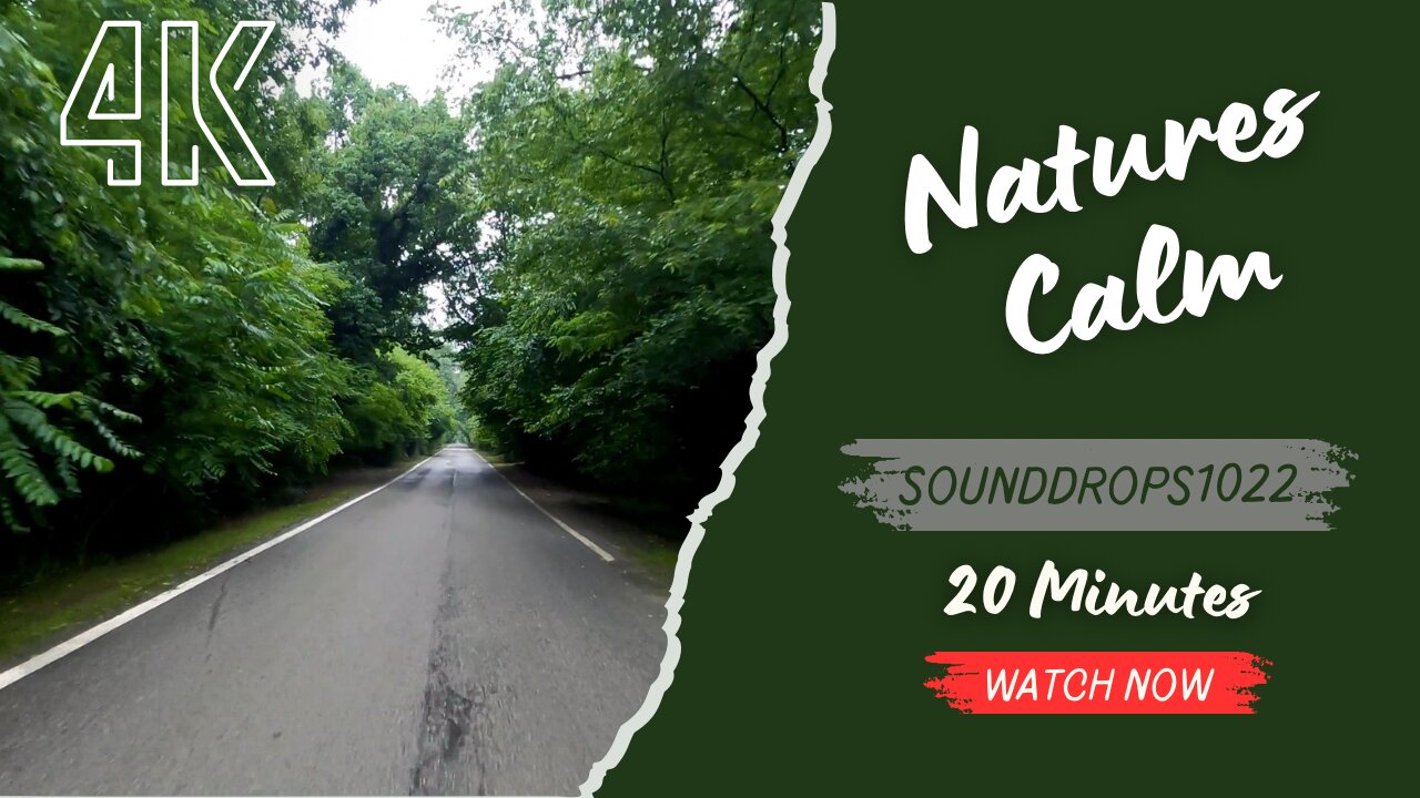 20 Minutes Drive in Nature's Calm