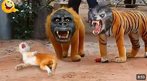 Funny Animals 😹 Funny Cats & Dogs Videos 😁 Funniest Animals
