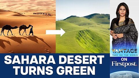 "Turning Green: A Celebration or Concern? The Unfolding Sahara Climate Change Story"
