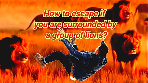 How To Escape If You Are Surrounded By A Group Of Lions