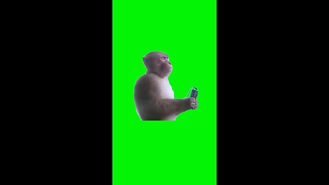 Monkey With Earbuds Vibing | Green Screen