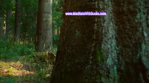 Meditate With Bucko, LLC