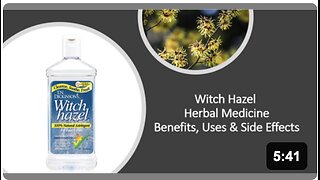 Witch Hazel Herbal Medicine Benefits, Uses & Side Effects