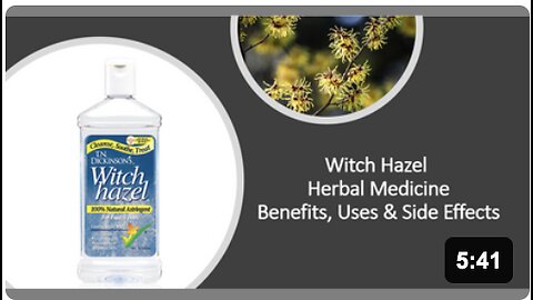 Witch Hazel Herbal Medicine Benefits, Uses & Side Effects