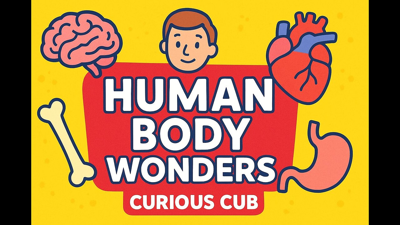✨ Human Body Wonders – Intro | Amazing Secrets of Our Body | Curious Cub 🧠❤️