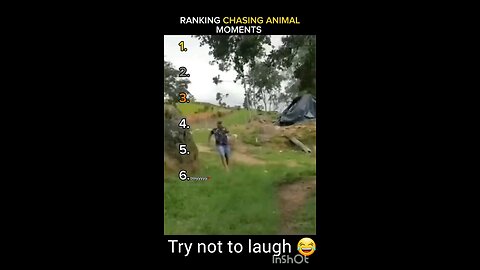 👉 "Try not to laugh" 😅