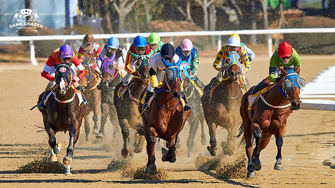 Most Crazy Race - Preakness Stakes