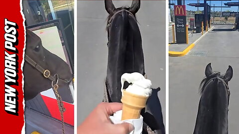 Woman rides horse through McDonald's drive-thru