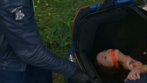 Blue Heelers (gagged)