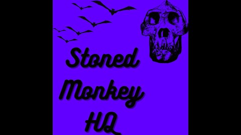 new NIGHT more dubs CO-STREAM