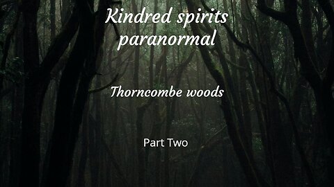 Thorncombe woods part Two