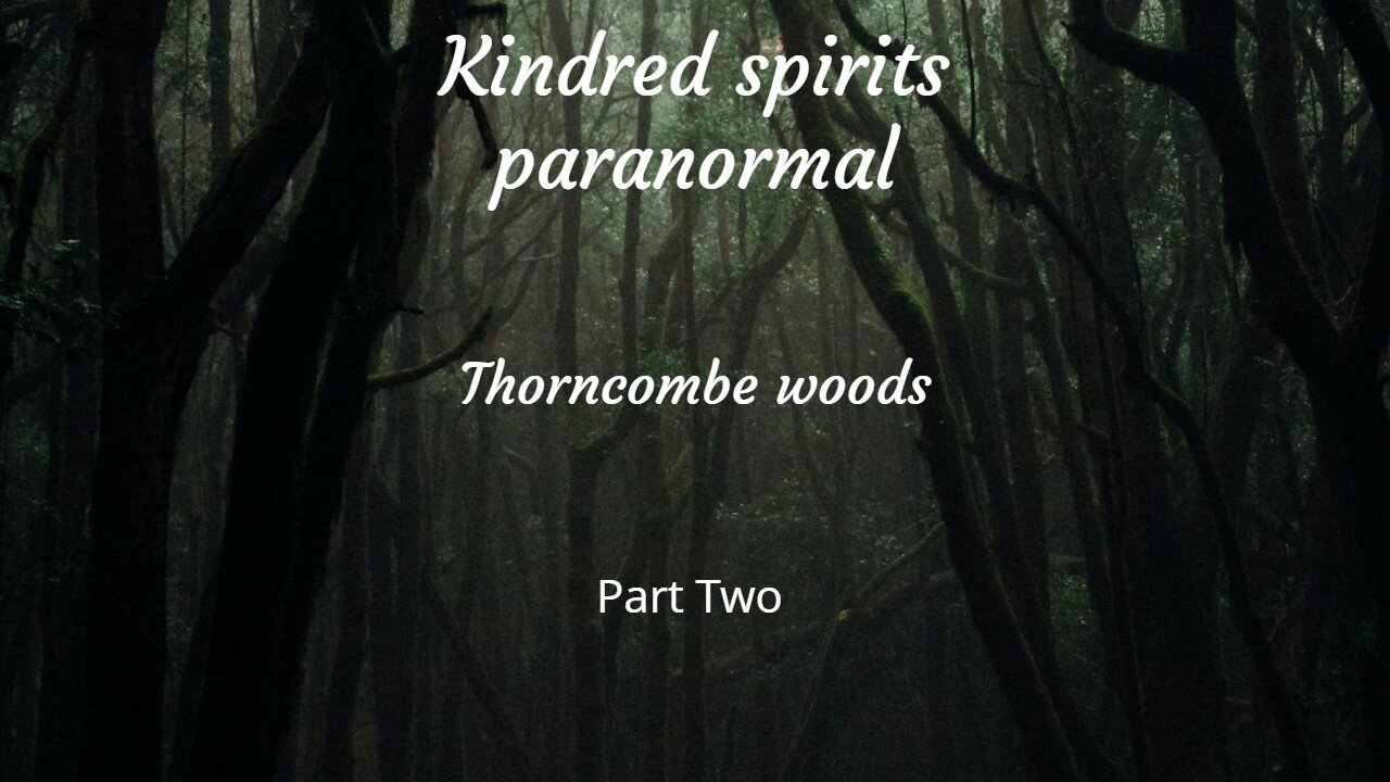 Thorncombe woods part Two