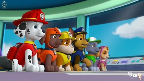 PAW Patrol Cartoons