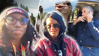 DAY 2: Tensions rise as RCMP prep for ostrich cull