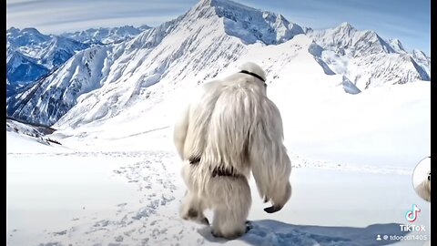Vlog 8: Exploring the Snowy Side of Life – Follow for More! ⛄👣
