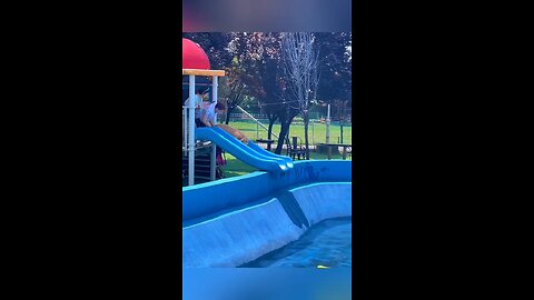 Dog lol moments 🐶🤣