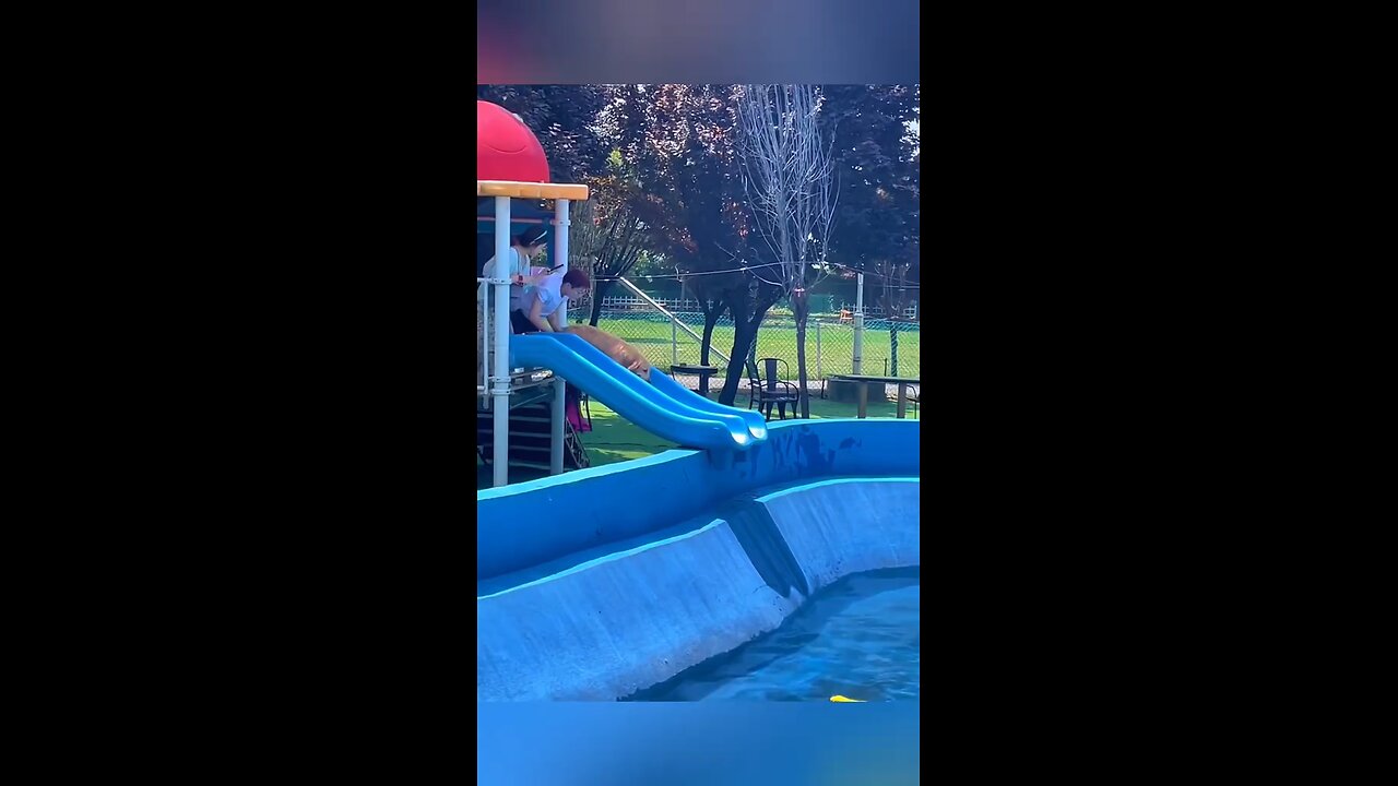 Dog lol moments 🐶🤣