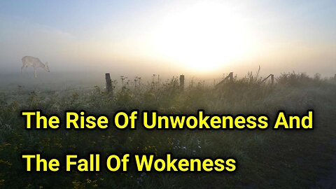 The Rise Of Unwokeness And The Fall Of Wokeness