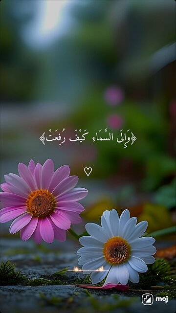 Beautiful recitation of Quran