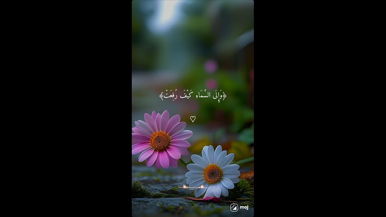 Beautiful recitation of Quran