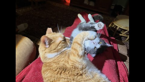 Coffee With Scott Adams 10/28/25