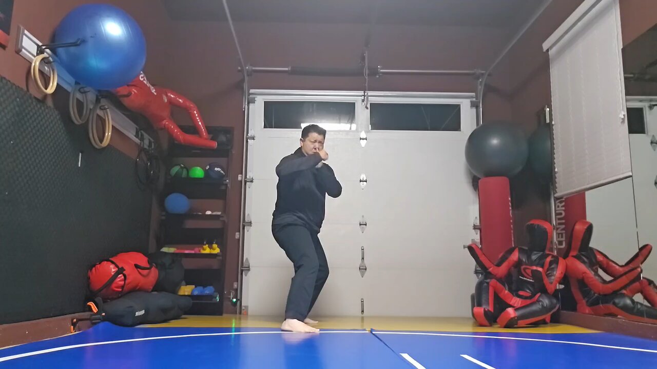 WTD Crescent Kick to Snap Hook Kick sequential