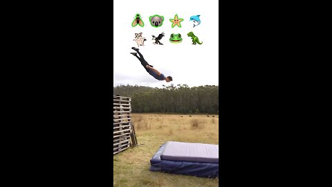 When a Koala Takes Fall Damage… I Lost It 😭🔥