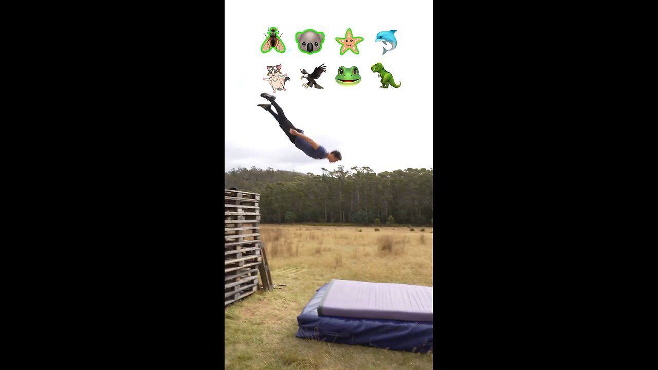 When a Koala Takes Fall Damage… I Lost It 😭🔥