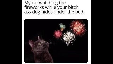 Insurrection/ Independence Day Tribute in Memes