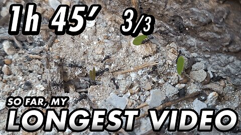 ASMR - 1st year of the channel! Finally, I can upload longer videos - 1h 45' 3/3