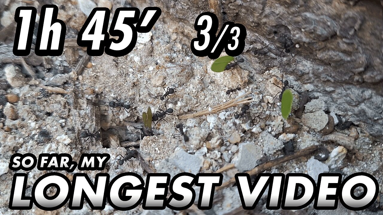 ASMR - 1st year of the channel! Finally, I can upload longer videos - 1h 45' 3/3
