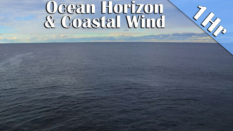 1 Hour of Ocean Horizon & Coastal Wind Ambience | Marine Parade Lookout