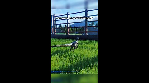 Velociraptor goes hunting
