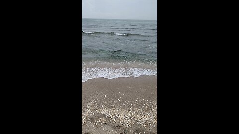 Singer Island Beach 🌊🏖️ 💃🕺