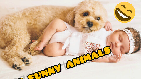 The funny animals...😁😁😄