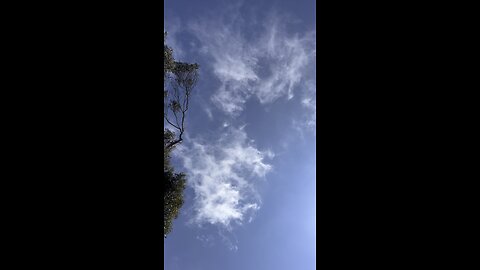 Watch till the end