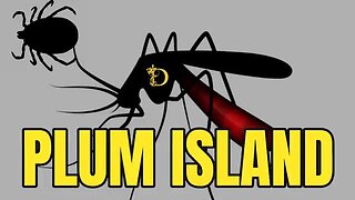 Plum Islands Classified Docs - AI (Disclosurehub)