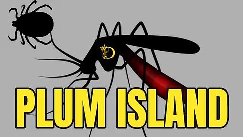 Plum Islands Classified Docs - AI (Disclosurehub)