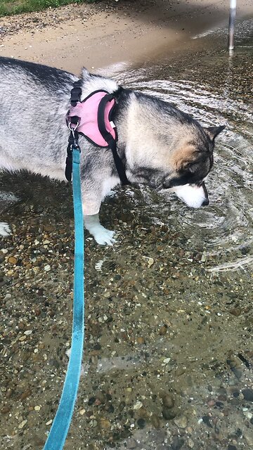 Thursday July 24, He was beaten that we might have peace.